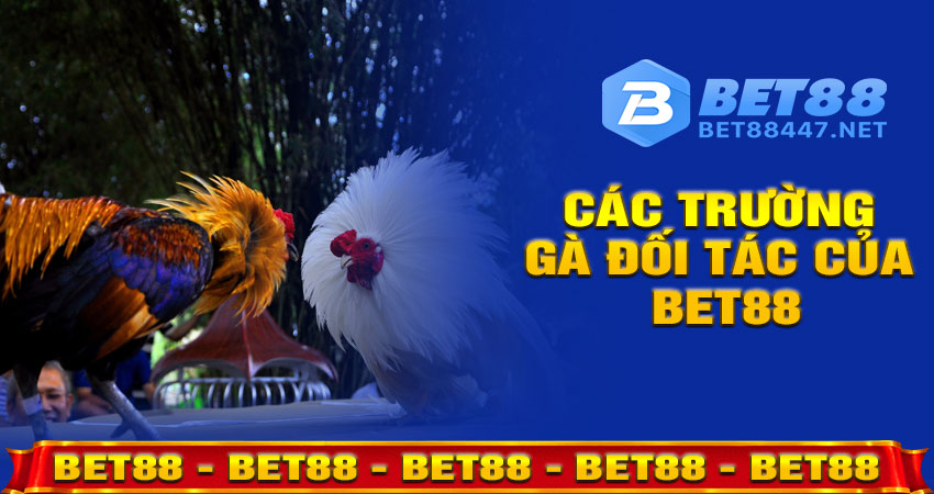 Các Trường Gà Đối Tác Của Bet88