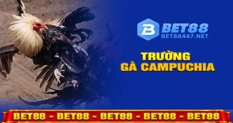 Trường Gà Campuchia