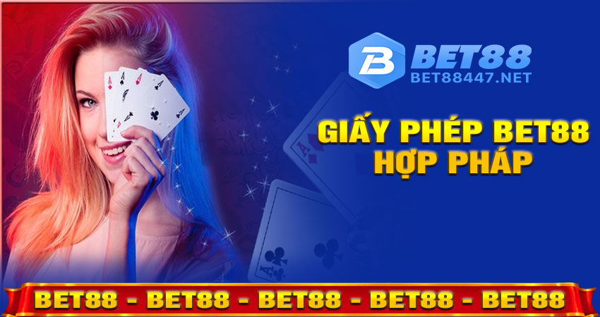 Giấy Phép Hợp Pháp – Nền Tảng Cho Niềm Tin